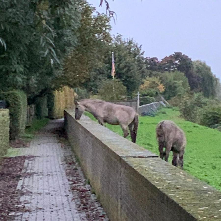 Hoeve Op De Meer Maastricht Exteriér fotografie